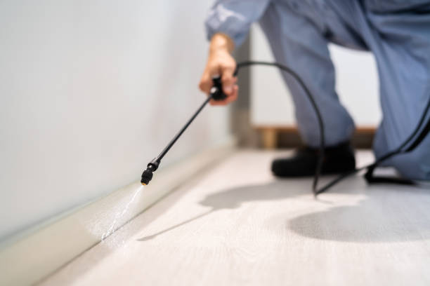 Certified termite inspector examining foundation in Fleetwood
