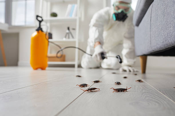 Post-Treatment Bed Bug Interceptor Monitoring in Fleetwood
